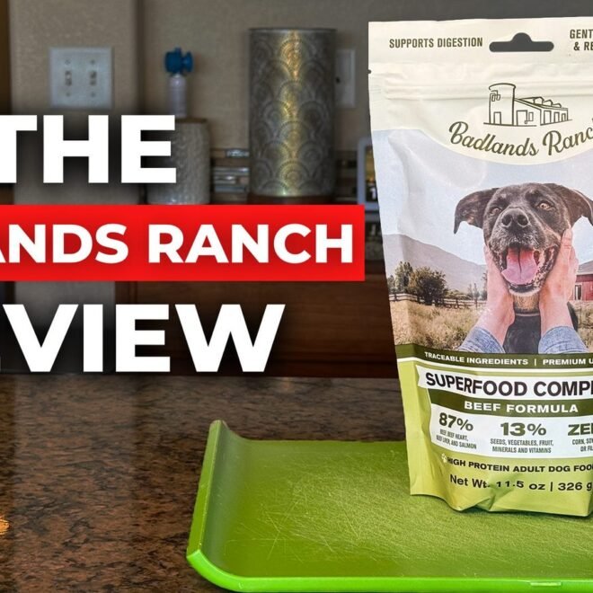BADLANDS RANCH Air-Dried Beef Dog Food Review: Is It Worth It