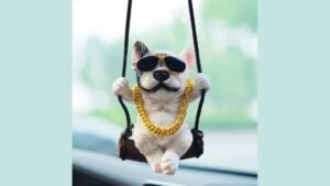 Dog Gadgets for Car Travel: Safe Essentials for Your Pet