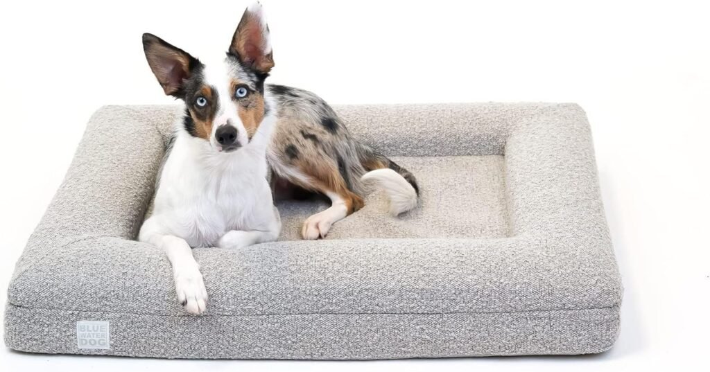 A clean cat bed prepared for maintenance in a bright, modern living room.