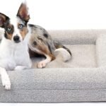 How to Clean Cat Bed Without Washing Machine: Step-by-Step Guide