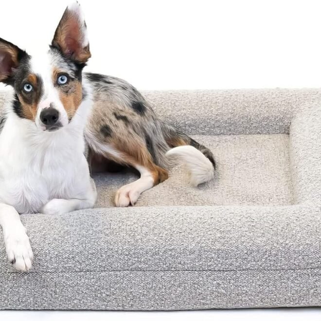 How to Clean Cat Bed Without Washing Machine: Step-by-Step Guide