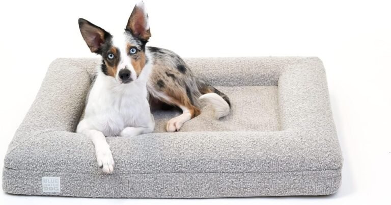How to Clean Cat Bed Without Washing Machine: Step-by-Step Guide
