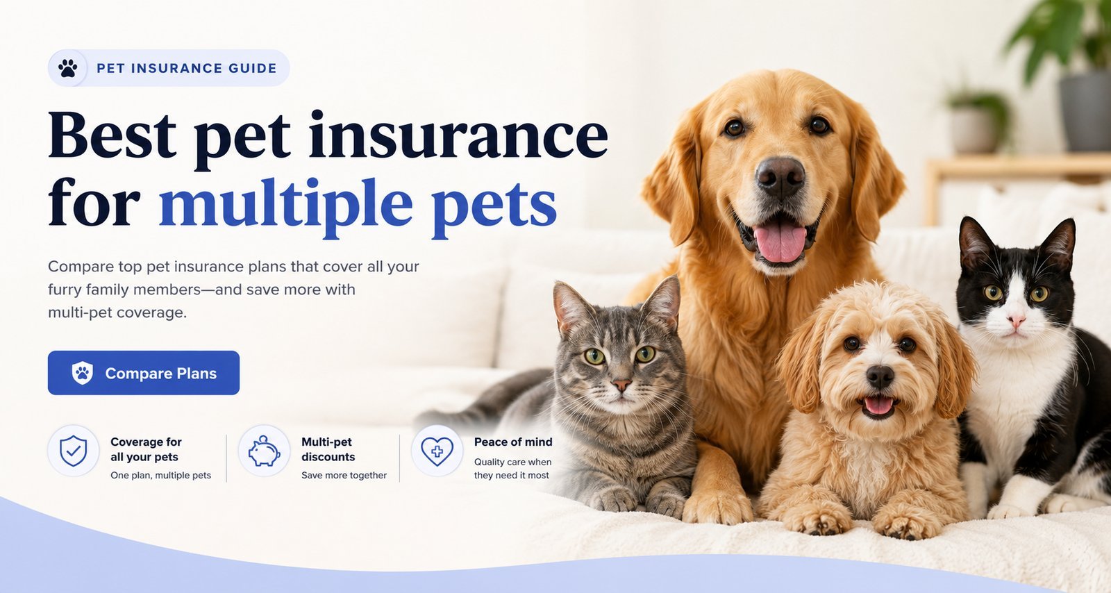 Two different dog breeds sit together representing multi-pet insurance considerations.