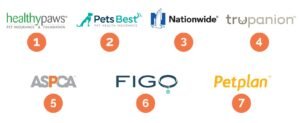 Which Pet Insurance Is the Best: How to Choose Your Policy in 2026