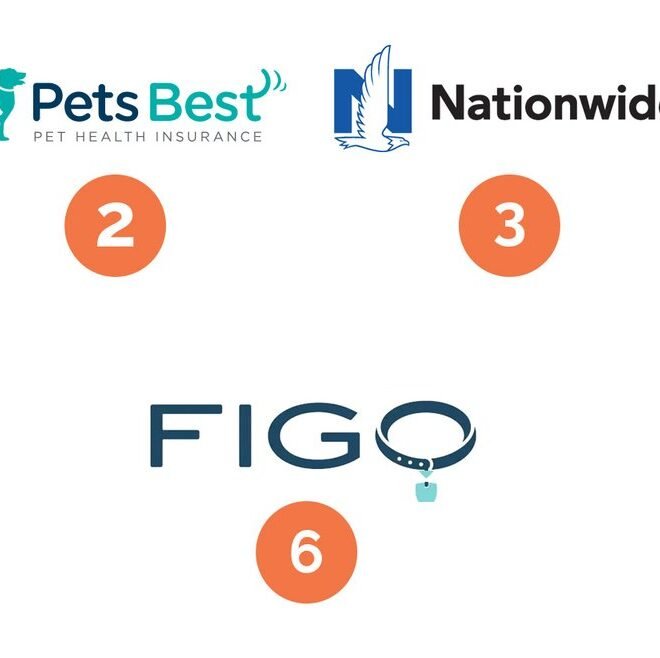 Which Pet Insurance Is the Best: How to Choose Your Policy in 2026