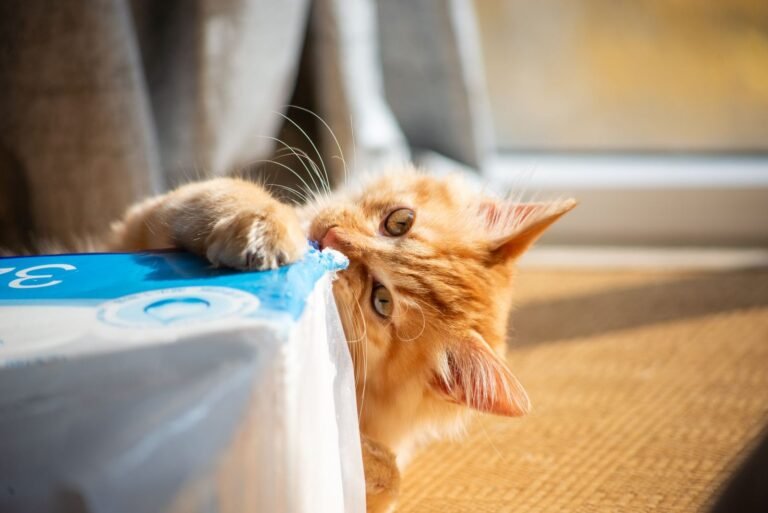 PetSafe ScoopFree Disposable Crystal Litter Tray Review