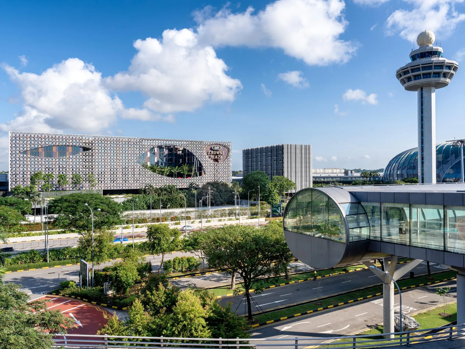 Open suitcase and pet carrier on customs table at Changi Airport